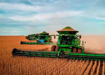Seguro para agronegócios